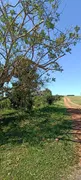 Fazenda / Sítio / Chácara com 3 Quartos à venda, 24200m² no Rio do Salto, Cascavel - Foto 3