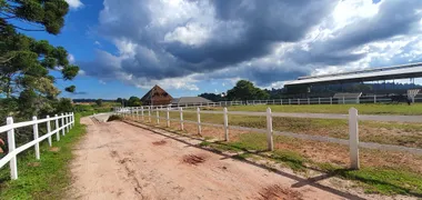 Galpão / Depósito / Armazém para alugar, 1182m² no Descansopolis, Campos do Jordão - Foto 23