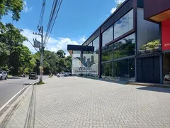 Loja / Salão / Ponto Comercial à venda, 55m² no Correas, Petrópolis - Foto 8