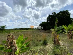 Fazenda / Sítio / Chácara com 3 Quartos à venda, 300m² no Genipabú, Caucaia - Foto 22