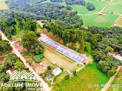 Fazenda / Sítio / Chácara à venda, 1200m² no , Carambeí - Foto 2