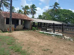 Fazenda / Sítio / Chácara com 3 Quartos à venda, 160000m² no Centro, Ceará Mirim - Foto 16
