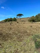 Fazenda / Sítio / Chácara com 1 Quarto à venda, 20000m² no Vila Seca, Caxias do Sul - Foto 23