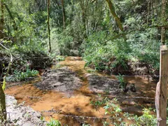 Fazenda / Sítio / Chácara à venda, 30000m² no Santa Cruz, Santo Antônio do Pinhal - Foto 3