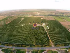 Fazenda / Sítio / Chácara com 3 Quartos à venda, 57000m² no Centro, Crisópolis - Foto 10
