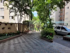 Apartamento com 2 Quartos à venda, 59m² no Parque Tomas Saraiva, São Paulo - Foto 31