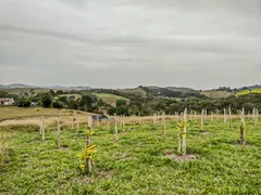 Fazenda / Sítio / Chácara com 4 Quartos à venda, 72600m² no Centro, Nazaré Paulista - Foto 12