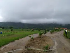 Terreno / Lote Comercial à venda, 22000m² no Campinho da Serra II, Serra - Foto 12