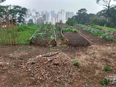 Terreno / Lote Comercial à venda, 1789m² no Morumbi, São Paulo - Foto 13