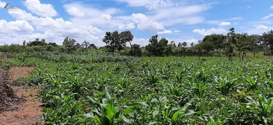 Fazenda / Sítio / Chácara com 3 Quartos à venda, 4500m² no Area Rural do Paranoa, Brasília - Foto 31