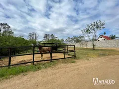 Casa com 2 Quartos à venda, 70m² no Centro, Ilhota - Foto 15