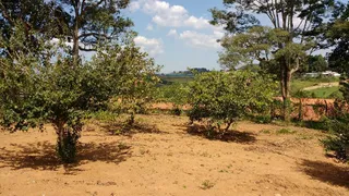 Fazenda / Sítio / Chácara com 3 Quartos à venda, 450m² no Jardim Nova Ipelandia, Suzano - Foto 23
