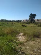 Terreno / Lote Comercial para venda ou aluguel, 20160m² no Jardim Mariléa, Rio das Ostras - Foto 19