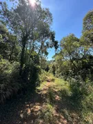 Fazenda / Sítio / Chácara à venda, 10000m² no Saltinho, Campo Alegre - Foto 10