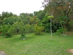 Fazenda / Sítio / Chácara com 3 Quartos à venda, 120m² no Parque Valinhos, Valinhos - Foto 14