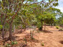 Fazenda / Sítio / Chácara com 4 Quartos à venda, 75000m² no Zona Rural, Bonfinópolis - Foto 4
