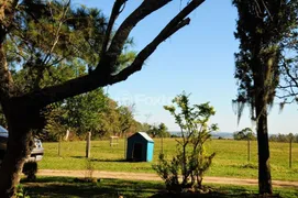 Fazenda / Sítio / Chácara com 3 Quartos à venda, 66000m² no Estancia Grande, Viamão - Foto 27