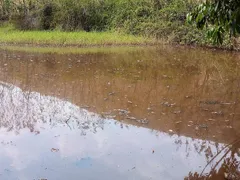 Fazenda / Sítio / Chácara à venda, 77300m² no Sao Candido, Caratinga - Foto 3