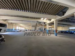 Galpão / Depósito / Armazém para alugar, 15000m² no Vila Arapuã, São Paulo - Foto 18