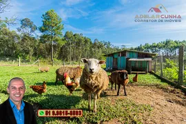 Fazenda / Sítio / Chácara com 2 Quartos à venda, 120m² no Campo da Brazina, Araricá - Foto 33
