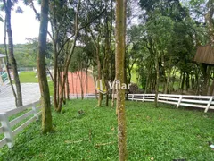 Fazenda / Sítio / Chácara com 5 Quartos à venda, 5711m² no Recreio da Serra, Piraquara - Foto 10