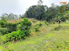 Fazenda / Sítio / Chácara com 3 Quartos à venda, 130m² no Centro, Águas Mornas - Foto 19