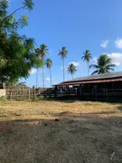 Fazenda / Sítio / Chácara com 3 Quartos à venda, 30000m² no Centro, Ceará Mirim - Foto 1