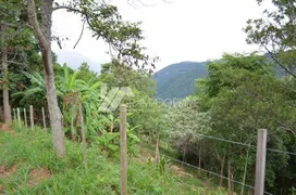 Fazenda / Sítio / Chácara à venda, 38000m² no Varzea Grande, Gramado - Foto 17