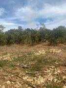 Fazenda / Sítio / Chácara com 2 Quartos à venda, 20000m² no Serra Azul, Mateus Leme - Foto 15