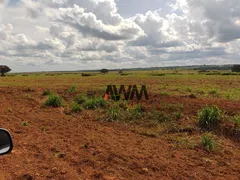 Fazenda / Sítio / Chácara à venda, 160000000m² no , Fortuna - Foto 14