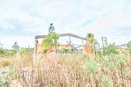 Terreno / Lote Comercial à venda, 291000m² no Campina, São José dos Pinhais - Foto 11