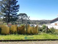 Terreno / Lote / Condomínio à venda, 665m² no Sao Caetano, Caxias do Sul - Foto 4