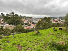 Terreno / Lote / Condomínio à venda, 585m² no Quinta dos Angicos, Cotia - Foto 7