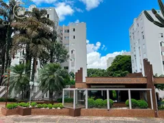 Apartamento com 3 Quartos à venda, 70m² no Claudia, Londrina - Foto 1