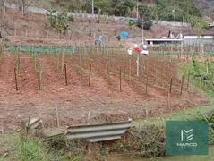 Terreno / Lote / Condomínio à venda, 4550m² no , São José do Vale do Rio Preto - Foto 15