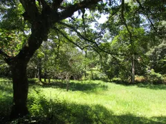 Fazenda / Sítio / Chácara com 1 Quarto à venda, 150000m² no Rural, Extrema - Foto 58