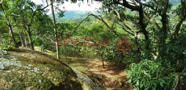 Fazenda / Sítio / Chácara com 9 Quartos à venda, 500m² no Joaquim Egídio, Campinas - Foto 22