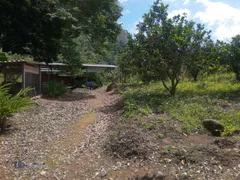 Fazenda / Sítio / Chácara com 4 Quartos à venda, 45000m² no Chacara Paraiso, Nova Friburgo - Foto 28