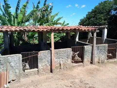 Fazenda / Sítio / Chácara com 3 Quartos à venda, 6600m² no Zona Rural, São José de Mipibu - Foto 4