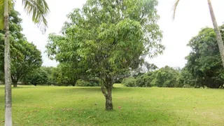 Fazenda / Sítio / Chácara com 8 Quartos para venda ou aluguel, 1000m² no Reforma Agraria, Valinhos - Foto 70