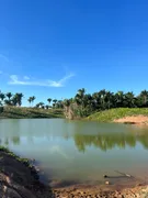 Fazenda / Sítio / Chácara à venda no , Itapecuru Mirim - Foto 17