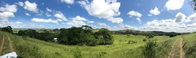 Fazenda / Sítio / Chácara à venda, 116000m² no Centro, Goianá - Foto 35