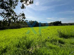 Fazenda / Sítio / Chácara com 3 Quartos à venda, 230m² no Zona Rural, São Sebastião do Oeste - Foto 87