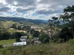Terreno / Lote / Condomínio à venda, 13000m² no Vale dos Vinhedos, Bento Gonçalves - Foto 37
