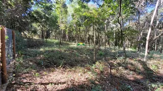 Terreno / Lote / Condomínio à venda no Condomínio Recanto da Serra, Brumadinho - Foto 9