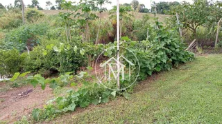 Fazenda / Sítio / Chácara com 2 Quartos à venda, 9300m² no Centro, Piedade - Foto 24