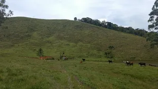 Fazenda / Sítio / Chácara com 2 Quartos à venda, 240000m² no Pouso Alto, Natividade da Serra - Foto 7