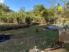 Fazenda / Sítio / Chácara com 2 Quartos à venda, 7000m² no , Coronel Pacheco - Foto 2