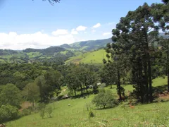 Fazenda / Sítio / Chácara com 1 Quarto à venda, 150000m² no Rural, Extrema - Foto 42