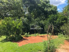 Fazenda / Sítio / Chácara com 6 Quartos à venda, 550m² no , Igarapé - Foto 52